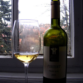 hollovar-furmint-2008
