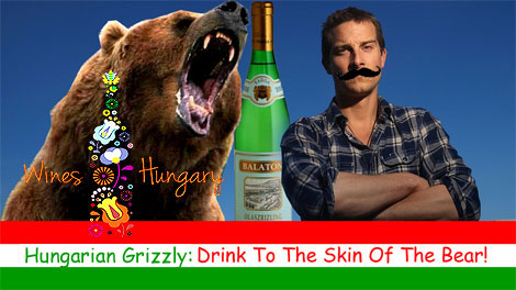 Hungarian Grizzly