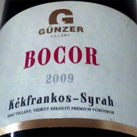 Günzer Bocor 2009
