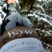 Vylyan Pinot Noir 2004
