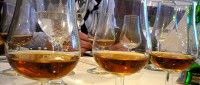Cognac, a jó életért
